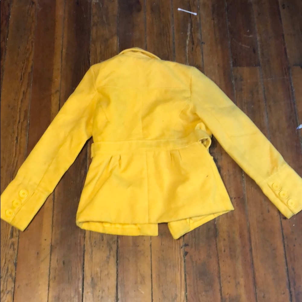 Yellow Jacket - Picture 3 of 4